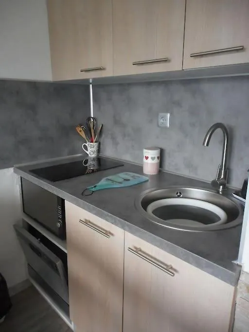 Appartement Puysaintvincent 1600 Puy-Saint-Vincent Apartment