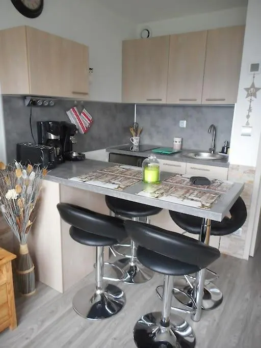 Apartment Appartement Puysaintvincent 1600 Puy-Saint-Vincent